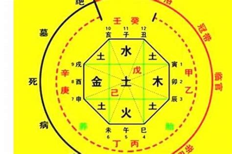 喜神忌神查詢|生辰八字算命、五行喜用神查询（免费测算）